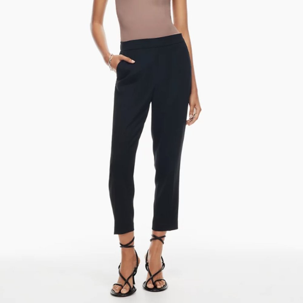 Aritzia Babaton Conan Pant